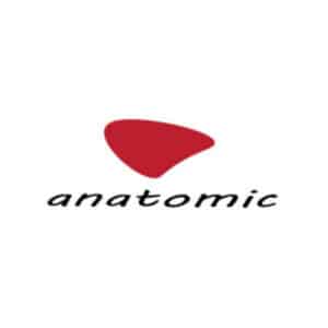 Anatomic