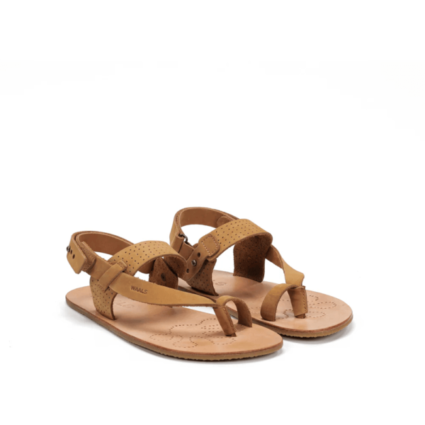 Waals Masai II Camel meeste barefoot sandaalid